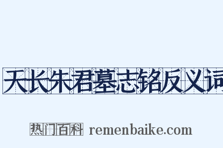 天长朱君墓志铭反义词是什么意思的图片